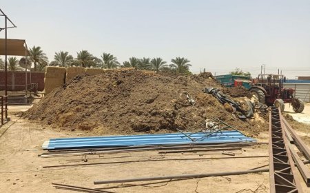جمعية أحمد عرابي سوق مواشي بدون ترخيص يهدد المستثمرين بالهروب
