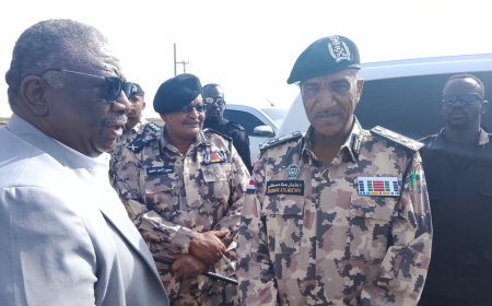 مدير عام قوات الدفاع المدني يصل إلى مدني