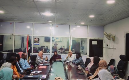 وفد التغطية الصحية الشاملة يناقش تطبيقات الصحة الذكية بالبحر الأحمر