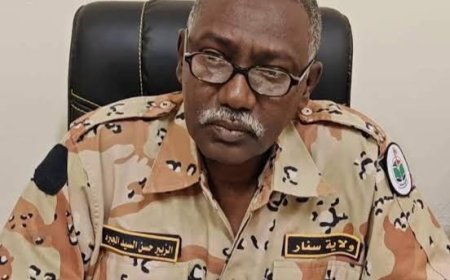 والي سنار يؤكد ان القوات المسلحة قدمت تضحيات كبيرة لينعم المواطن بالأمن والاستقرار
