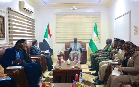 وزير الدفاع يلتقي وفد الخبير الدولي المعني بحقوق الإنسان في السودان