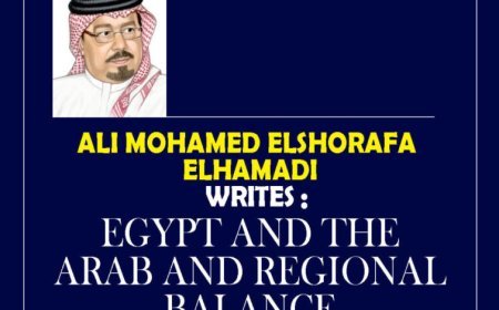 Al-Shorafa  Al-Hammadi: Egypt and the Arab and Regional Balance