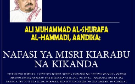 Al-Shurafaa Al-Hammadi: Nafasi ya Misri Kiarabu na Kikanda.‎