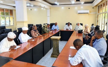 الالية الوطنية لحقوق الإنسان تبدأ طوافها علي الولايات