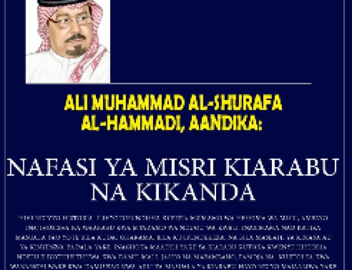 Al-Shurafaa Al-Hammadi: Nafasi ya Misri Kiarabu na Kikanda.‎