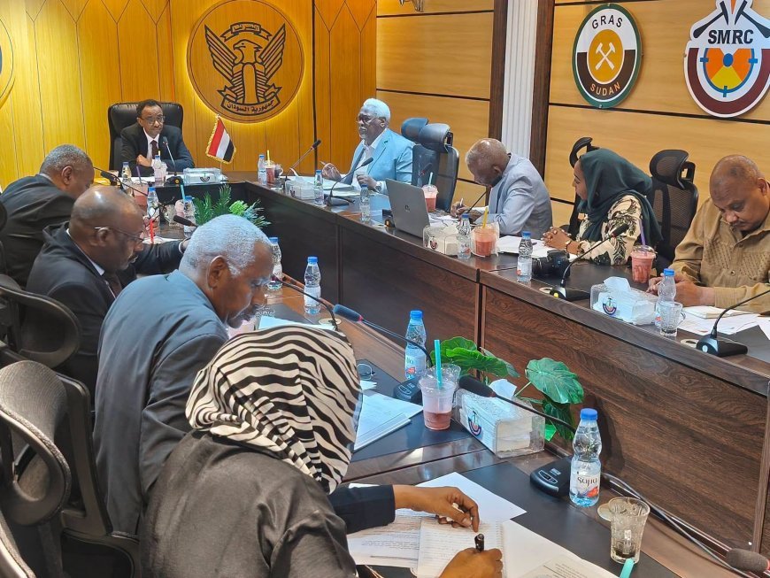 رئيس اللجنة الوزارية لمشروع الهواد: المشروع ركيزة استراتيجية لدعم الاقتصاد القومي