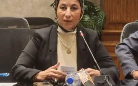 نشوى سلامة تدعو الإعلام لإحياء بطولات أكتوبر وحرب الاستنزاف بأفلام تسجيلية