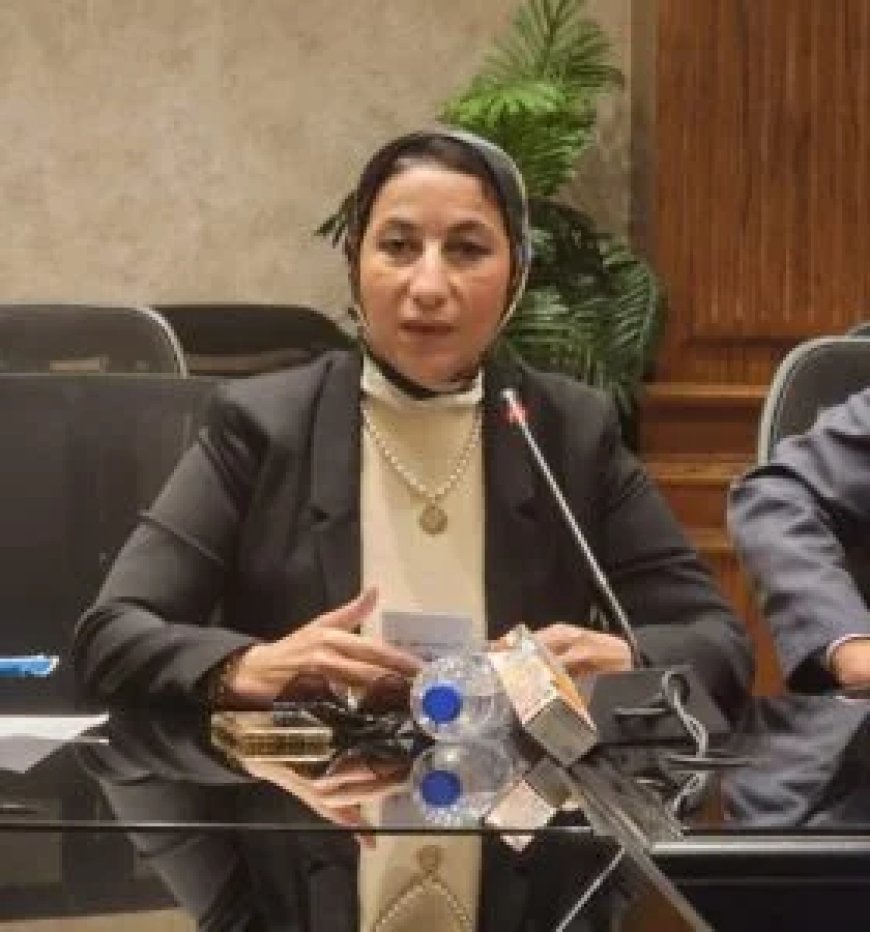 نشوى سلامة تدعو الإعلام لإحياء بطولات أكتوبر وحرب الاستنزاف بأفلام تسجيلية
