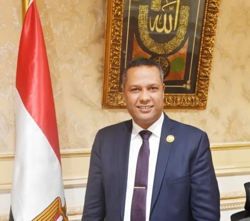 النائب محمد حمزة: أمن المملكة العربية السعودية جزء لا يتجزأ من الأمن القومي المصري.. ومساس استقرارها خط أحمر